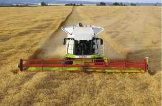 設(shè)施農(nóng)業(yè)在中國發(fā)展之困 人為因素與基礎(chǔ)設(shè)施的雙重掣肘