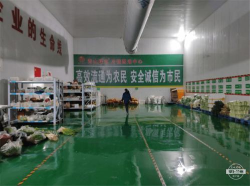 強化物流基礎(chǔ)設(shè)施，武威助力農(nóng)特產(chǎn)品銷售出實招——農(nóng)業(yè)企業(yè)托管服務(wù)創(chuàng)新模式