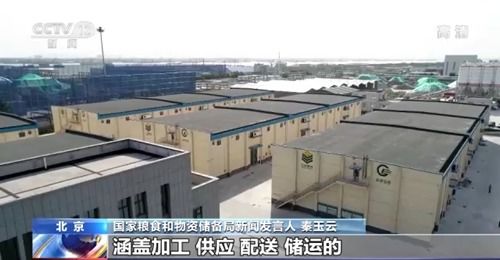 我國糧食市場供應(yīng)充足且抗外部波動，農(nóng)業(yè)企業(yè)托管服務(wù)助力產(chǎn)業(yè)穩(wěn)定發(fā)展