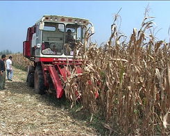 正陽縣農(nóng)業(yè)基礎(chǔ)設(shè)施日臻完善，農(nóng)業(yè)企業(yè)托管服務(wù)助推鄉(xiāng)村振興