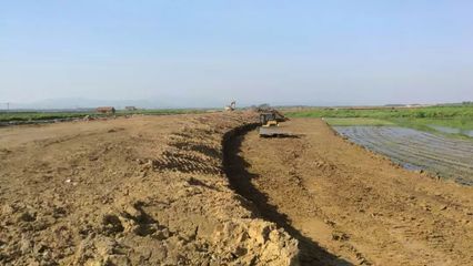 沃野織錦繡 黃梅繪新篇——從農(nóng)業(yè)基礎(chǔ)設(shè)施建設(shè)看現(xiàn)代農(nóng)業(yè)崛起