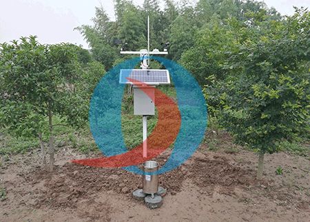 科技賦能田野 小型氣象監(jiān)測站與托管服務(wù)引領(lǐng)現(xiàn)代農(nóng)業(yè)新變革