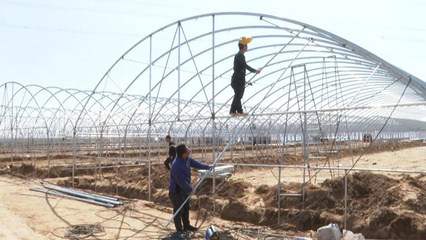 朔城區(qū) 夯實農(nóng)業(yè)基礎(chǔ)設(shè)施根基，譜寫現(xiàn)代農(nóng)業(yè)發(fā)展新篇章