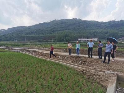 來賓市農(nóng)業(yè)農(nóng)村局聯(lián)合財政局開展2021年高標(biāo)準(zhǔn)農(nóng)田建設(shè)及耕地地力保護(hù)督導(dǎo)工作，助力農(nóng)業(yè)企業(yè)托管服務(wù)發(fā)展