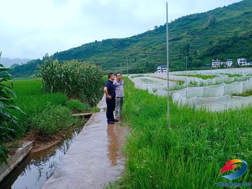 聚力破解歷史難題，夯實農業發展根基——縣農業農村委扎實推進農業基礎設施建設